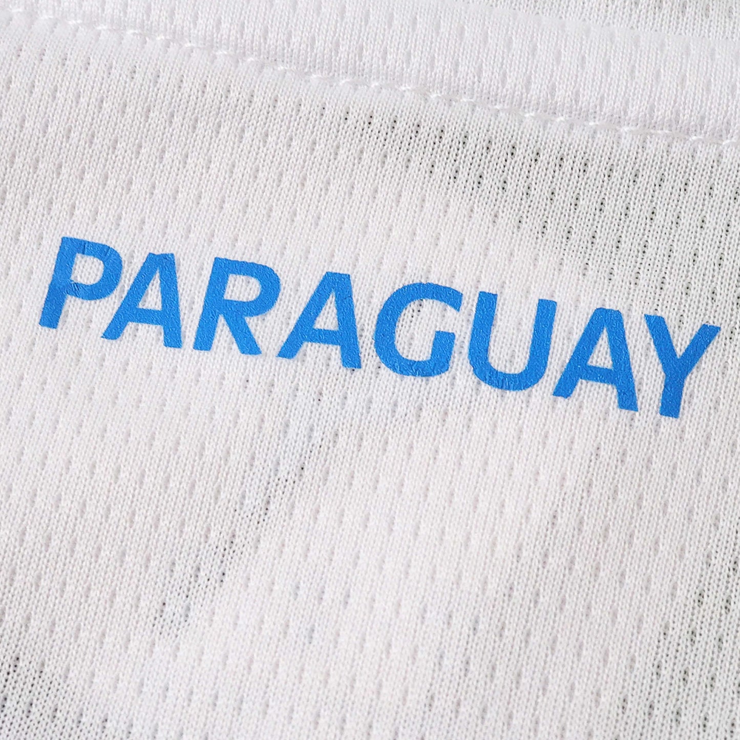 PARAGUAY HOME 2026