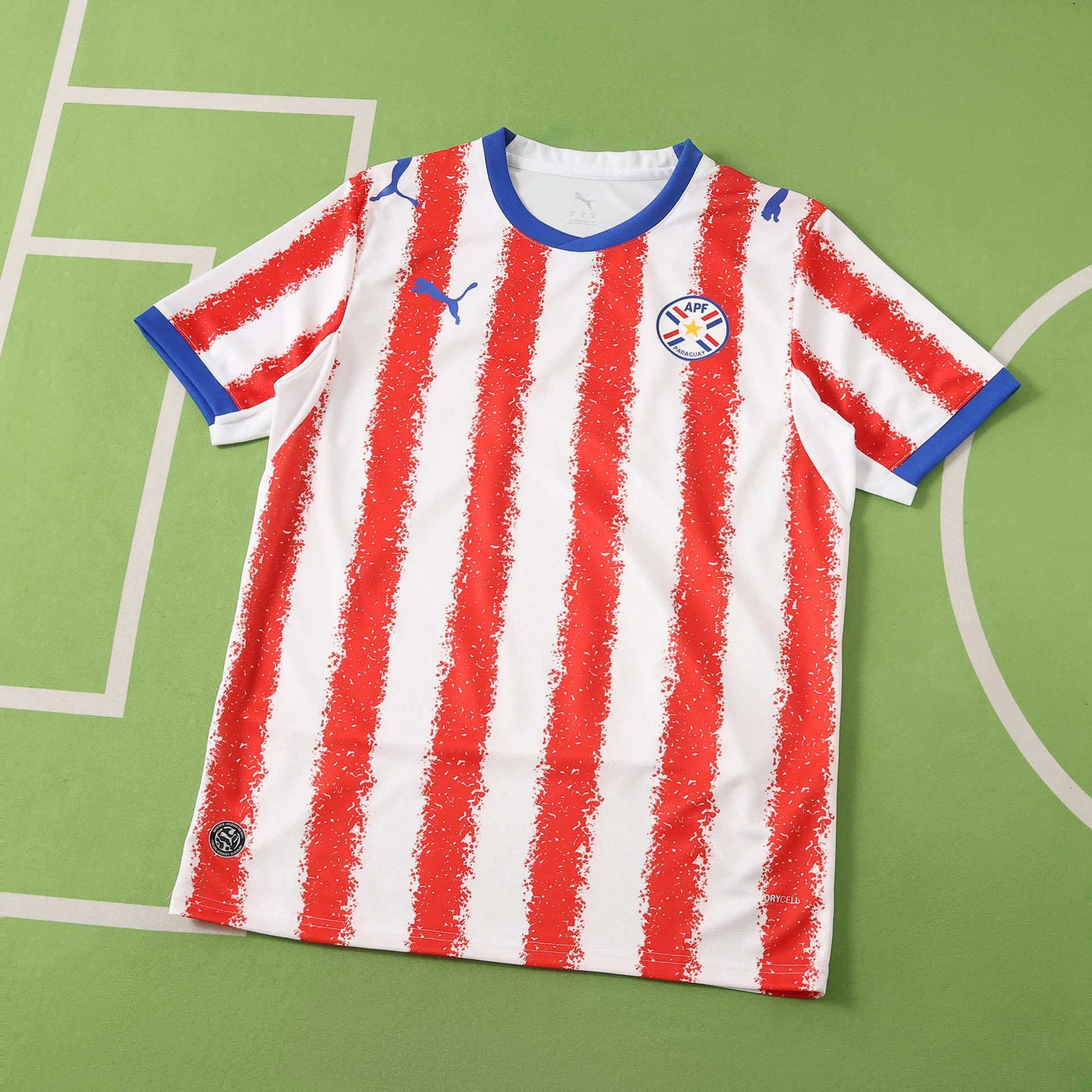 PARAGUAY HOME 2026