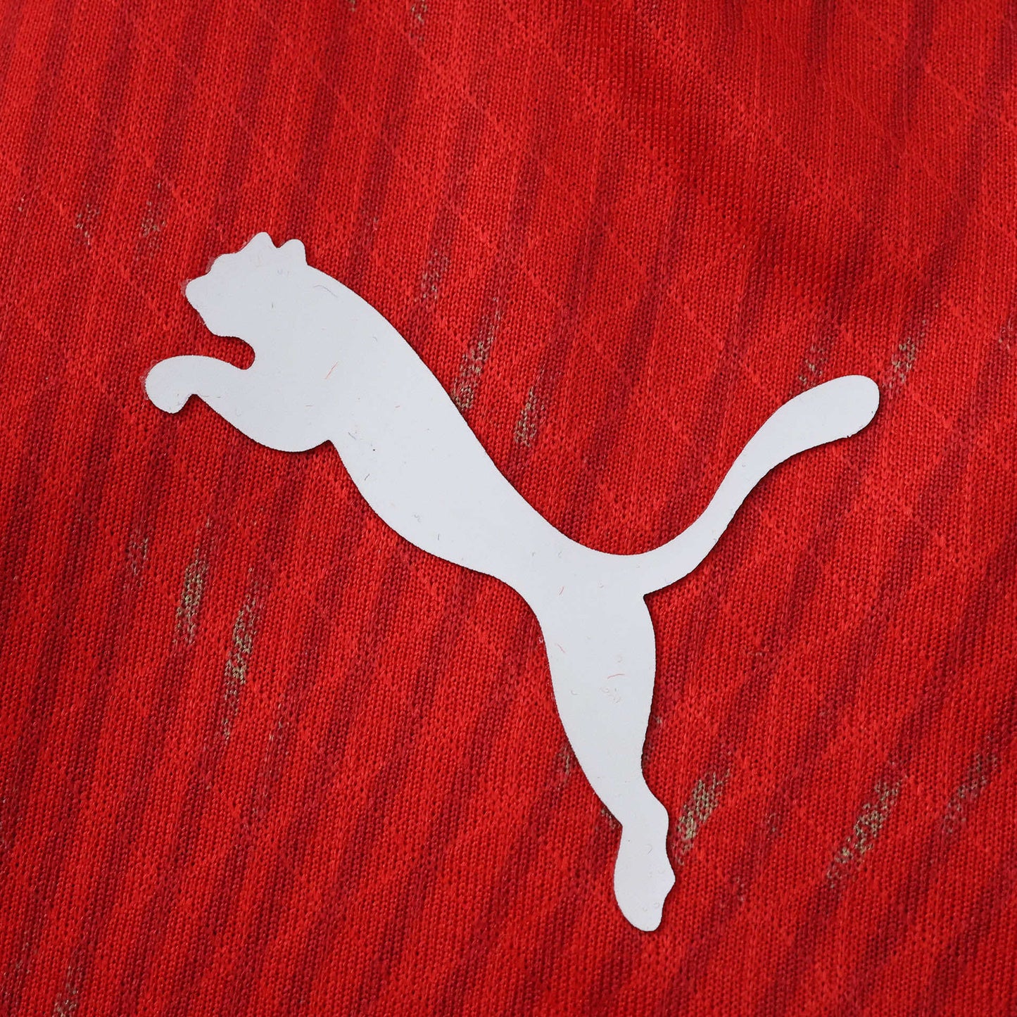 SWITZERLAND HOME 2026