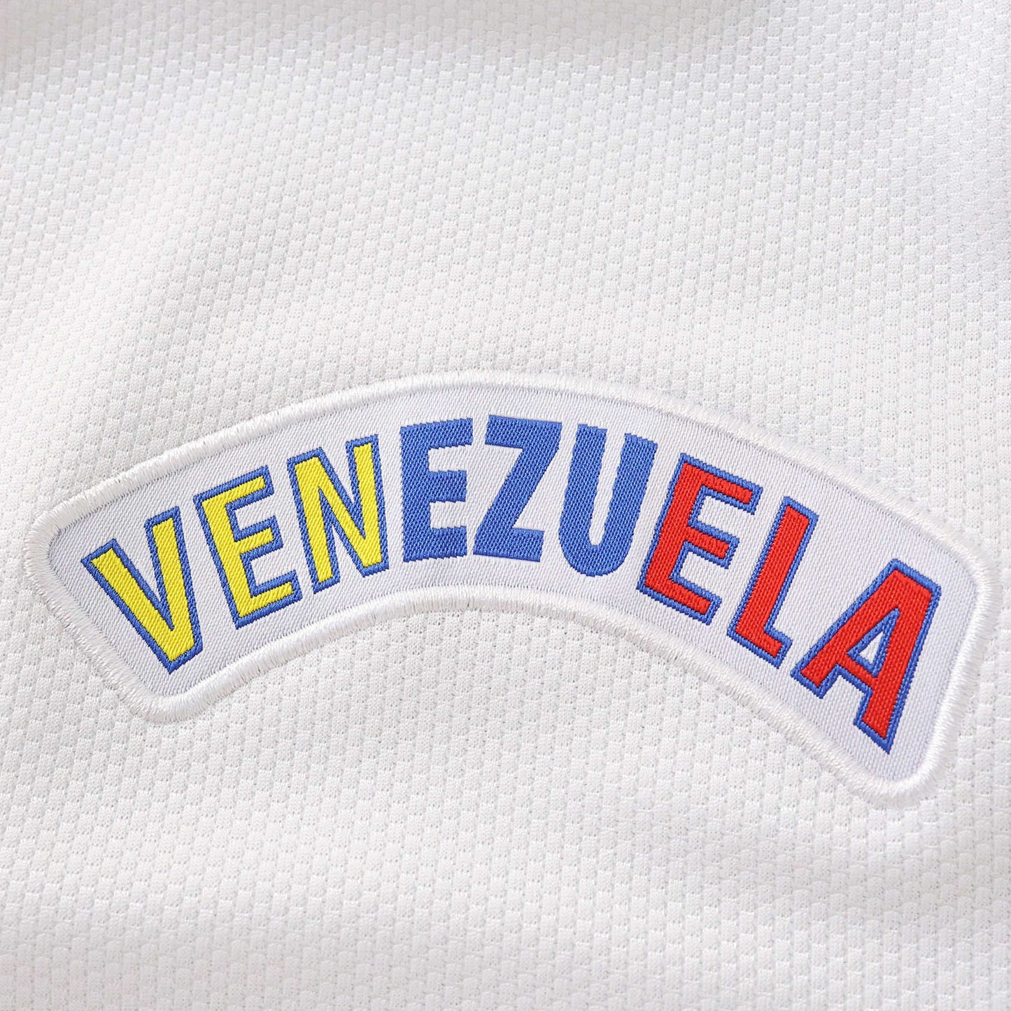 VENEZUELA VISITANTE 2026