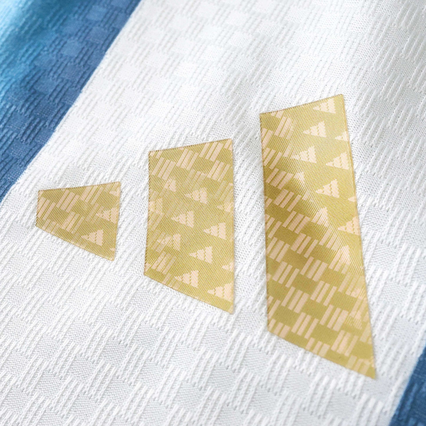 ARGENTINA HOME 2026